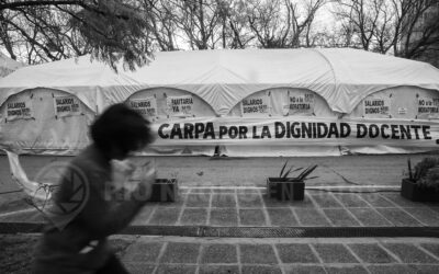 Carpa Docente