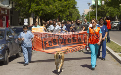 Protesta de Hospitalarios